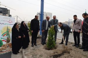 توزیع ۱۱۰ هزار اصله نهال در نیروگاه‌های حرارتی کشور