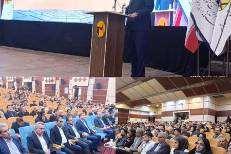 تولید هزار مگاوات برق خورشیدی با مشارکت بخش خصوصی در استان محقق می‌شود