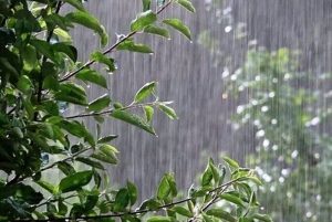 حوضه دریای خزر و حوضه مرزی شرق