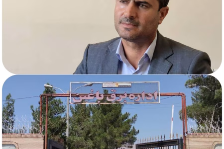 رئیس اداره برق باغین