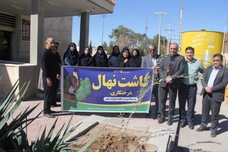 غرس نهال به یاد شهدا در توزیع برق شمال استان کرمان