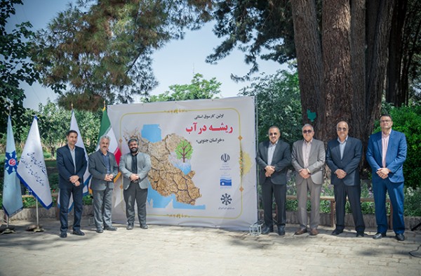 ریشه در آب