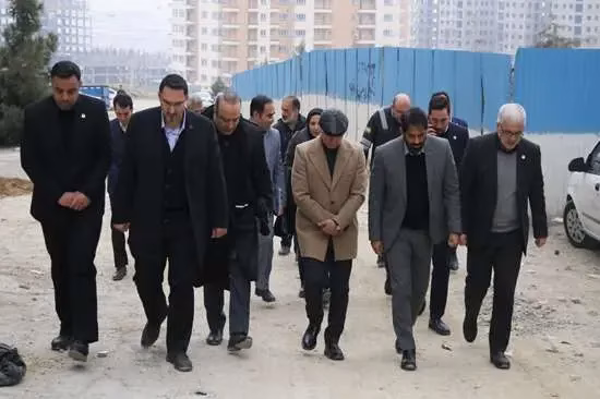 تأمین برق انشعابات تهران با بازدید میدانی مدیرعامل برق پایتخت بررسی شد