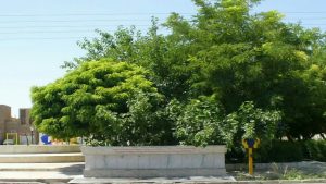 صرفه‌جویی در مصرف آب دستگاه‌های شیرین‌کن در یزد
