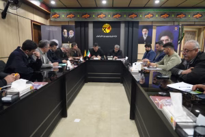 قدردانی معاون انرژی سازمان پدافند غیرعامل کشور از تلاش‌های مدیرعامل و کارکنان شرکت توزیع نیروی برق استان تهران