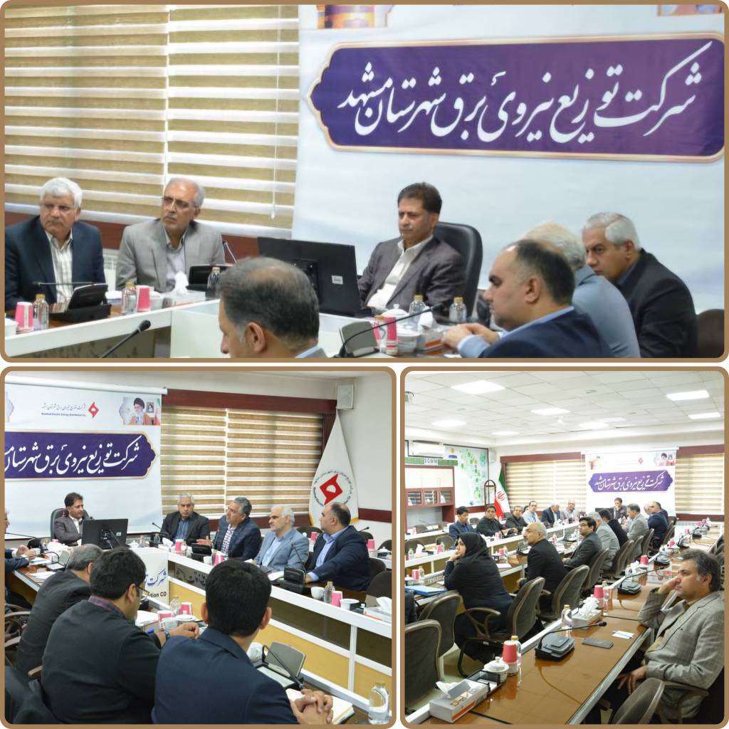 مدلسازی رفتار مصرف برق در مراکز تجاری مشهد