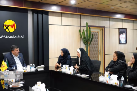 ممیزی عملکرد روابط‌عمومی توزیع برق استان تهران