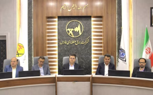 نشست شورای پایایی شبکه برق فارس و بوشهر با حضور مدیرعامل توانیر