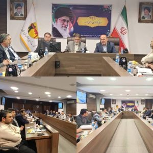 نشست فرماندار دشتستان با مدیرعامل برق
