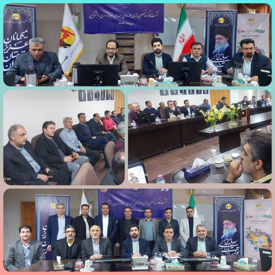 نشست کارگروه تخصصی بازرسی حوزه های مهندسی، بهره برداری و مشترکین شرکت های توزیع برق