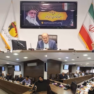 نظارت عالیه توانیر در حوزه‌های HSE شرکت توزیع برق بوشهر با هدف الگو‌سازی ملی