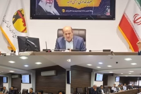 نظارت عالیه توانیر در حوزه‌های HSE شرکت توزیع برق بوشهر با هدف الگو‌سازی ملی