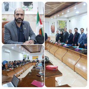 هادی سفید مو مجری رمزارز توانیر