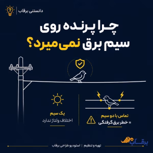 چرا-پرنده-روی-سیم-برق-نمیمیرد؟