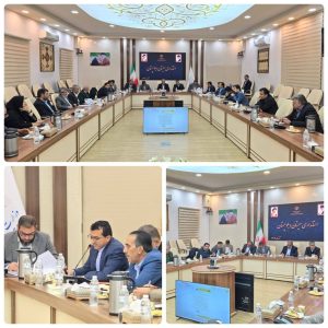 برگزاری کارگروه مدیریت مصرف انرژی سیستان و بلوچستان