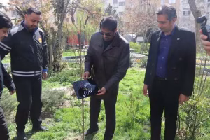 کاشت نهال به یاد شهدای صنعت برق در شرکت توزیع نیروی برق تهران بزرگ
